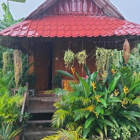 Odambang Village Homestay Battambang Eksteriør billede